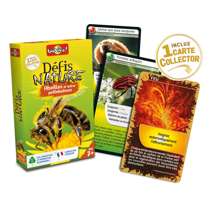 Bioviva! - Défis Nature - beilles et autres pollinisateurs - 7 ans et +