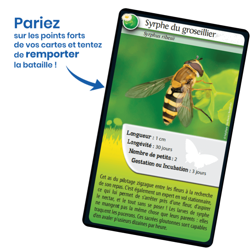 Bioviva! - Défis Nature - beilles et autres pollinisateurs - 7 ans et +