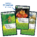 Bioviva! - Défis Nature - beilles et autres pollinisateurs - 7 ans et +