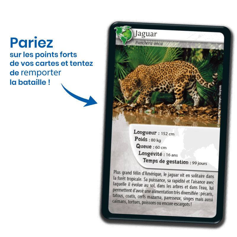 Bioviva! - Défis Nature - Amériques - 7 ans et +