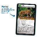 Bioviva! - Défis Nature - Amériques - 7 ans et +