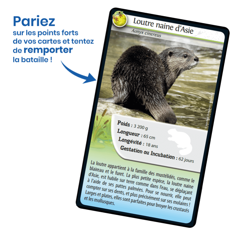 Bioviva! - Défis Nature - Animaux d'eau douce - 7 ans et +