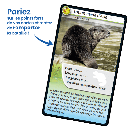 Bioviva! - Défis Nature - Animaux d'eau douce - 7 ans et +