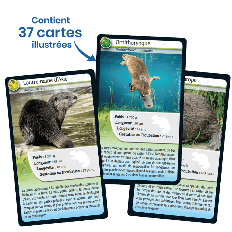 Bioviva! - Défis Nature - Animaux d'eau douce - 7 ans et +