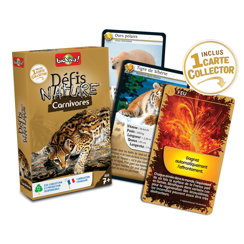 Bioviva! - Défis Nature - Carnivores - 7 ans et +