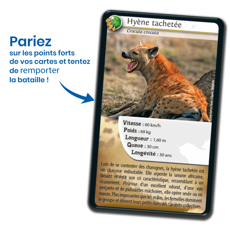 Bioviva! - Défis Nature - Carnivores - 7 ans et +