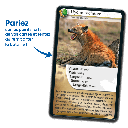 Bioviva! - Défis Nature - Carnivores - 7 ans et +