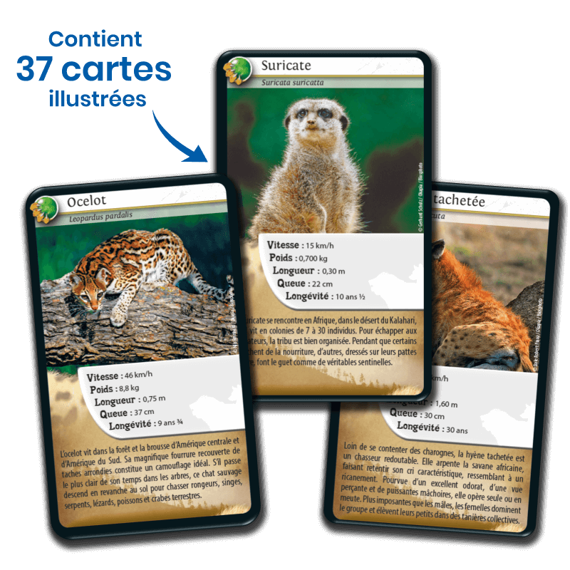 Bioviva! - Défis Nature - Carnivores - 7 ans et +