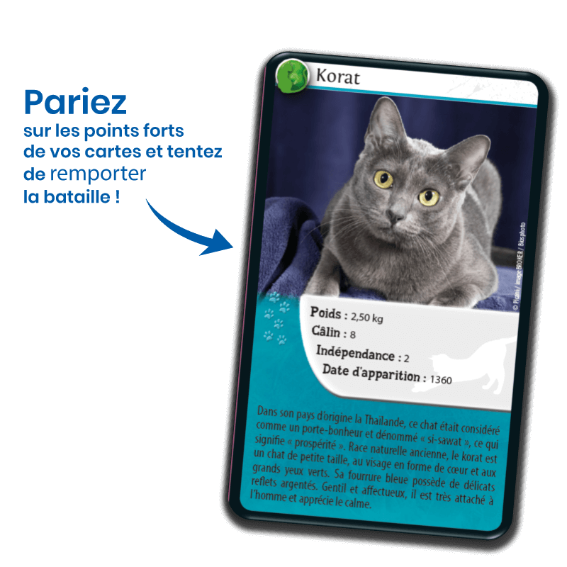 Bioviva! - Défis Nature - Chats - 7 ans et +