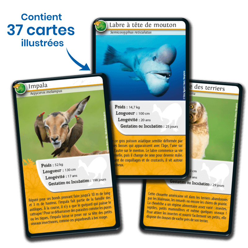 Bioviva! - Défis Nature - Animaux Rigolos - 7 ans et +