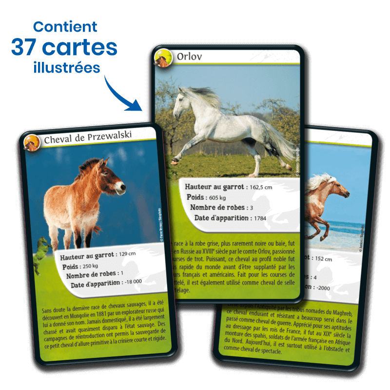 Bioviva! - Défis Nature - Chevaux - 7 ans et +