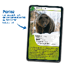 Bioviva! - Défis Nature - Europe - 7 ans et +