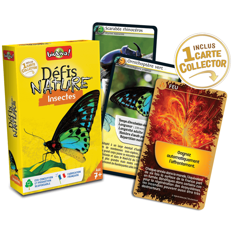 Bioviva! - Défis Nature - Insectes - 7 ans et +
