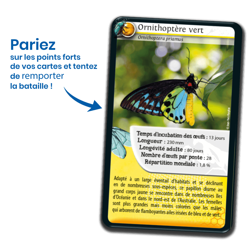 Bioviva! - Défis Nature - Insectes - 7 ans et +