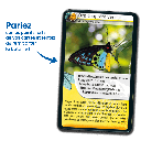 Bioviva! - Défis Nature - Insectes - 7 ans et +