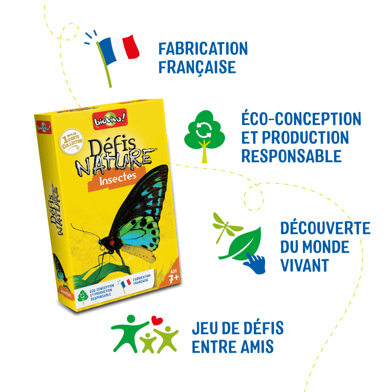Bioviva! - Défis Nature - Insectes - 7 ans et +