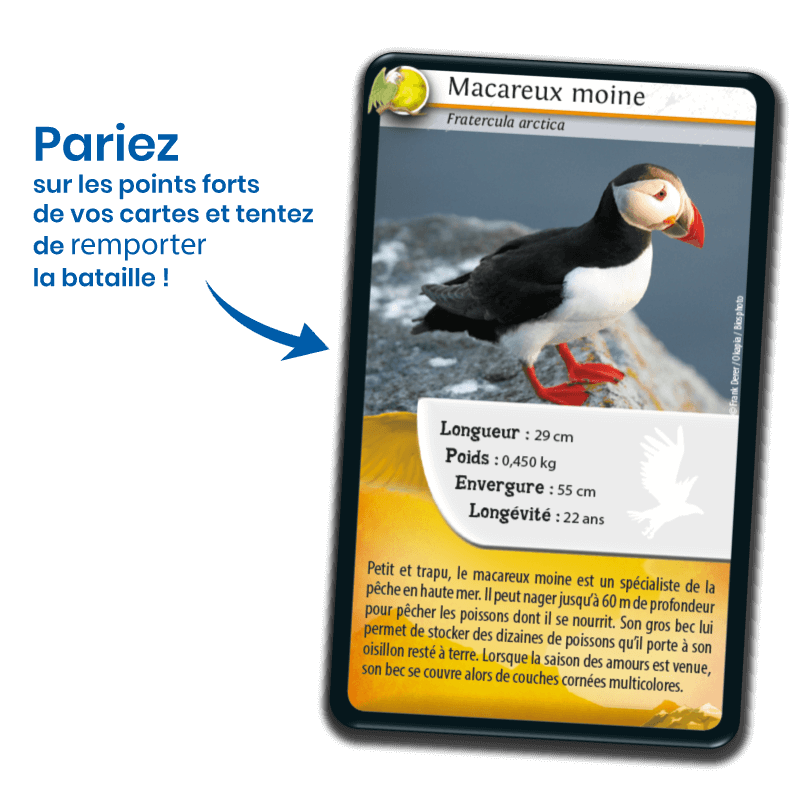 Bioviva! - Défis Nature - Oiseaux - 7 ans et +