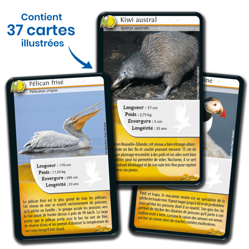 Bioviva! - Défis Nature - Oiseaux - 7 ans et +