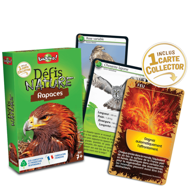 Bioviva! - Défis Nature - Rapaces - 7 ans et +