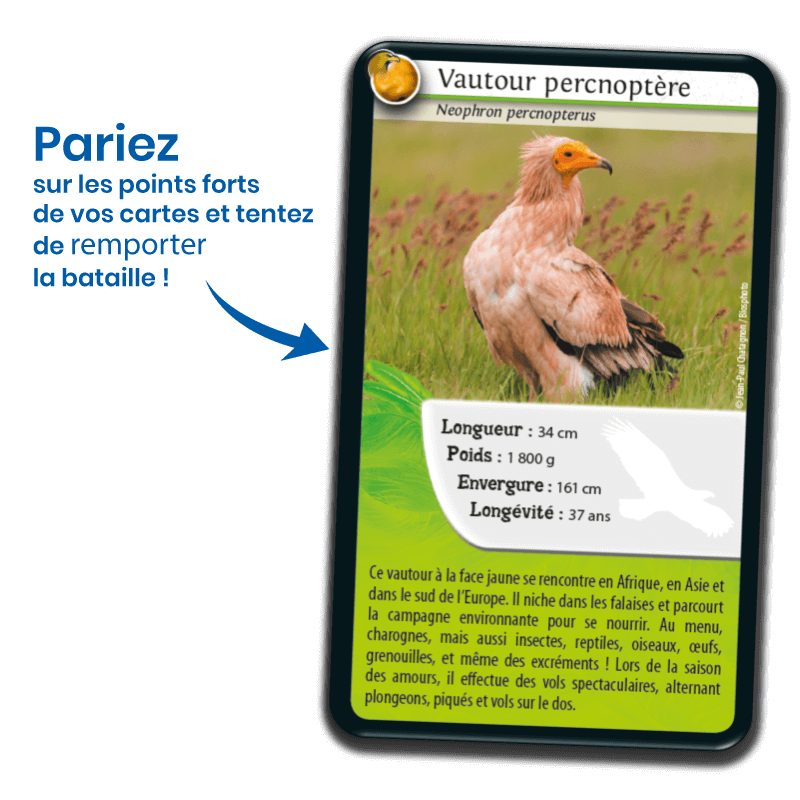 Bioviva! - Défis Nature - Rapaces - 7 ans et +