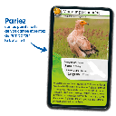 Bioviva! - Défis Nature - Rapaces - 7 ans et +