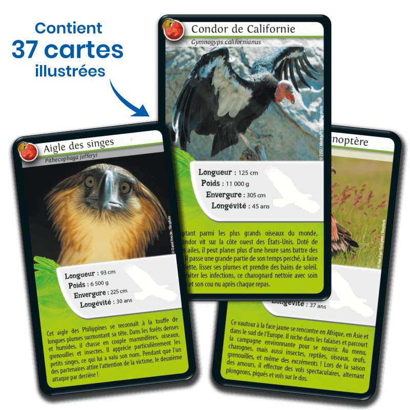 Bioviva! - Défis Nature - Rapaces - 7 ans et +