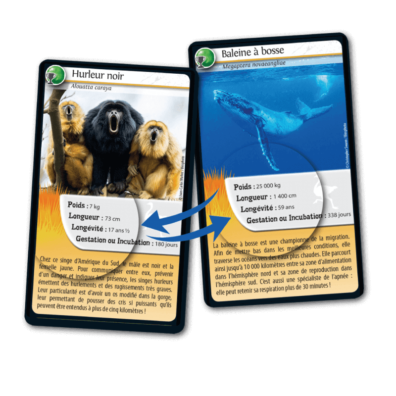 Bioviva! - Défis Nature - Record des Animaux - 7 ans et +