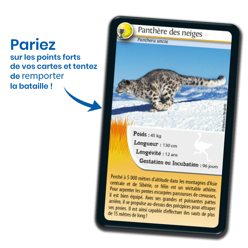 Bioviva! - Défis Nature - Record des Animaux - 7 ans et +