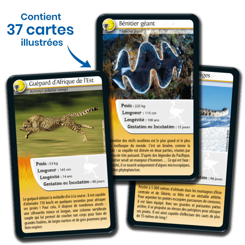 Bioviva! - Défis Nature - Record des Animaux - 7 ans et +