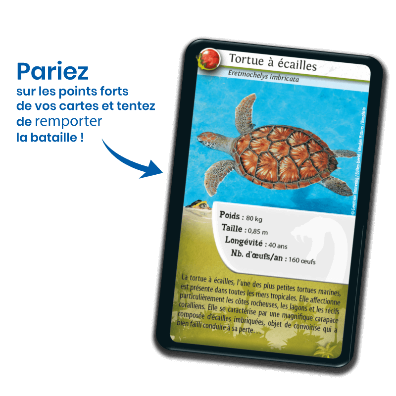 Bioviva! - Défis Nature - Reptiles - 7 ans et +