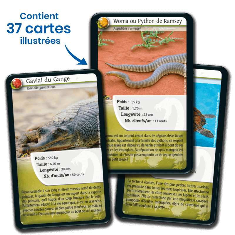 Bioviva! - Défis Nature - Reptiles - 7 ans et +