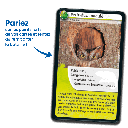 Bioviva! - Défis Nature - Rois du Camouflage - 7 ans et +