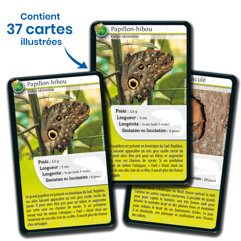 Bioviva! - Défis Nature - Rois du Camouflage - 7 ans et +