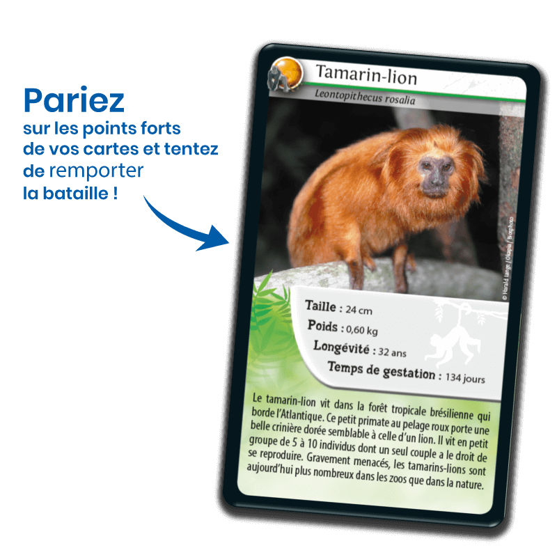 Bioviva! - Défis Nature - Singes et Autres Primates - 7 ans et +