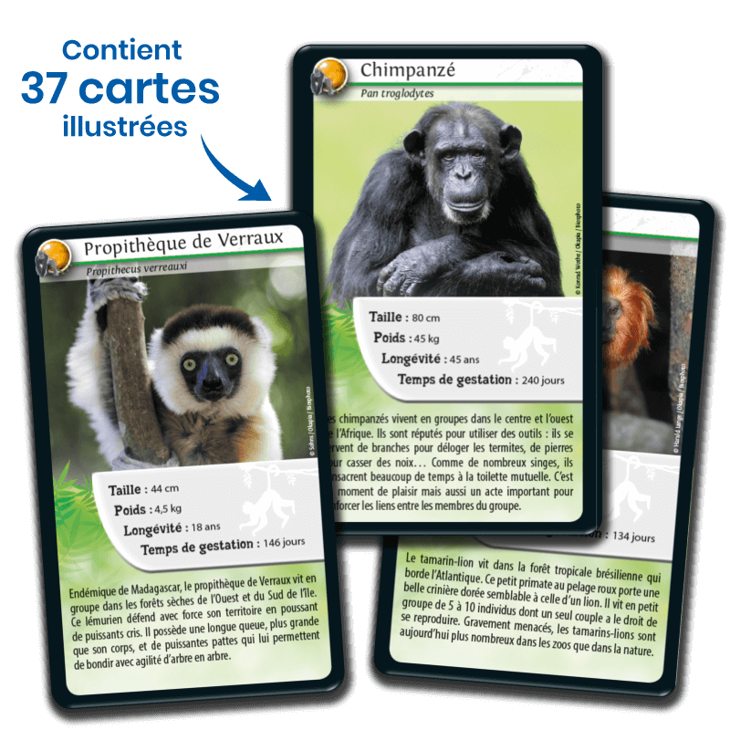 Bioviva! - Défis Nature - Singes et Autres Primates - 7 ans et +