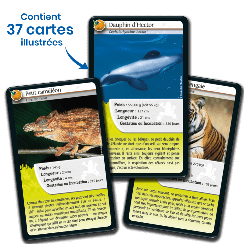 Bioviva! - Défis Nature - Super Pouvoirs des Animaux - 7 ans et +