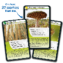 Bioviva! - Défis Nature - Super Pouvoirs des Plantes - 7 ans et +