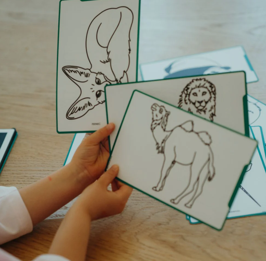 KIDYWOLF - KIDYDRAW-MINI - Tablette à dessin - Océans & Pirates (copie)