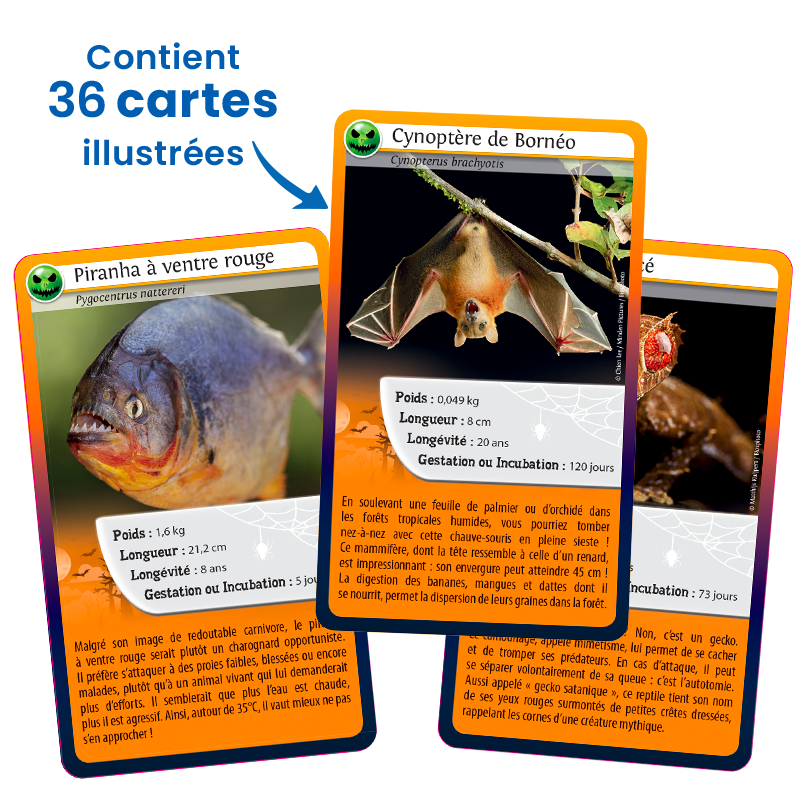 Bioviva! - Défis Nature - Même pas peur ! - 7 ans et +