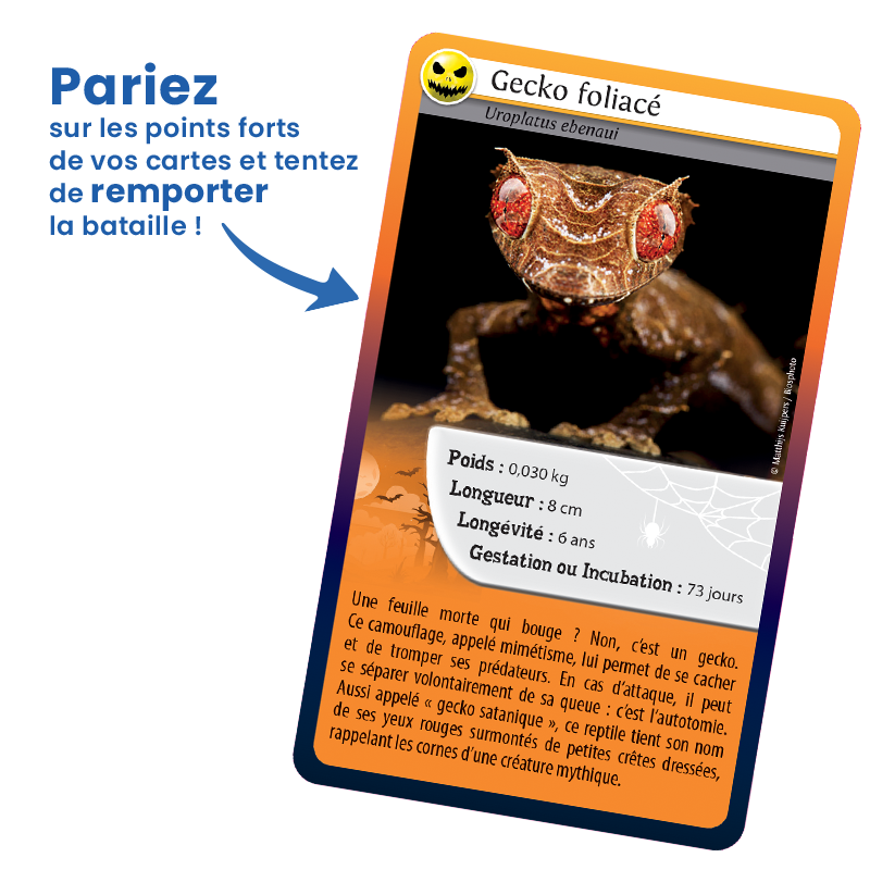 Bioviva! - Défis Nature - Même pas peur ! - 7 ans et +