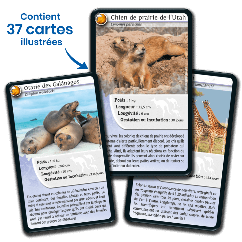 Bioviva! - Défis Nature - Animaux inséparables - 7 ans et +