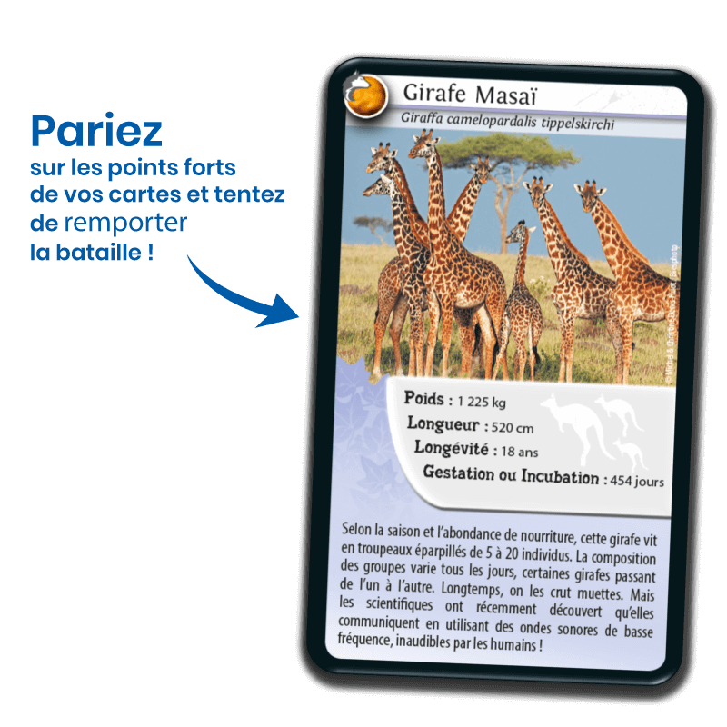 Bioviva! - Défis Nature - Animaux inséparables - 7 ans et +