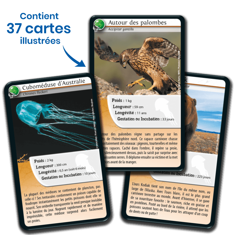 Bioviva! - Défis Nature - Animaux redoutables - 7 ans et +