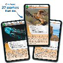 Bioviva! - Défis Nature - Animaux redoutables - 7 ans et +