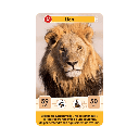 Bioviva! - Défis Nature Junior - Rois de la savane - 5 ans et +