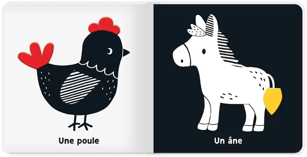 MES PREMIERS FLAPS - LA FERME 2.webp