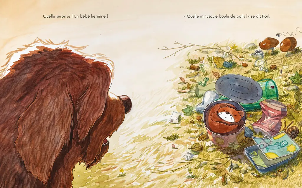 Auzou - Les Albums - Poil et Plume 2.webp