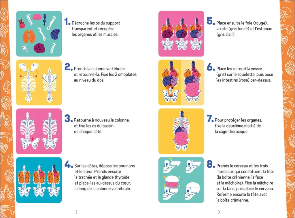 Auzou Lab' - Je découvre le corps humain 3.webp