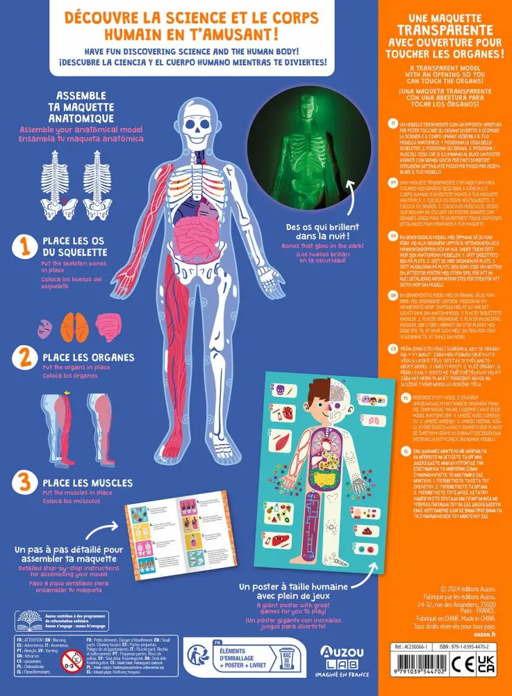 Auzou Lab' - Je découvre le corps humain 4.webp