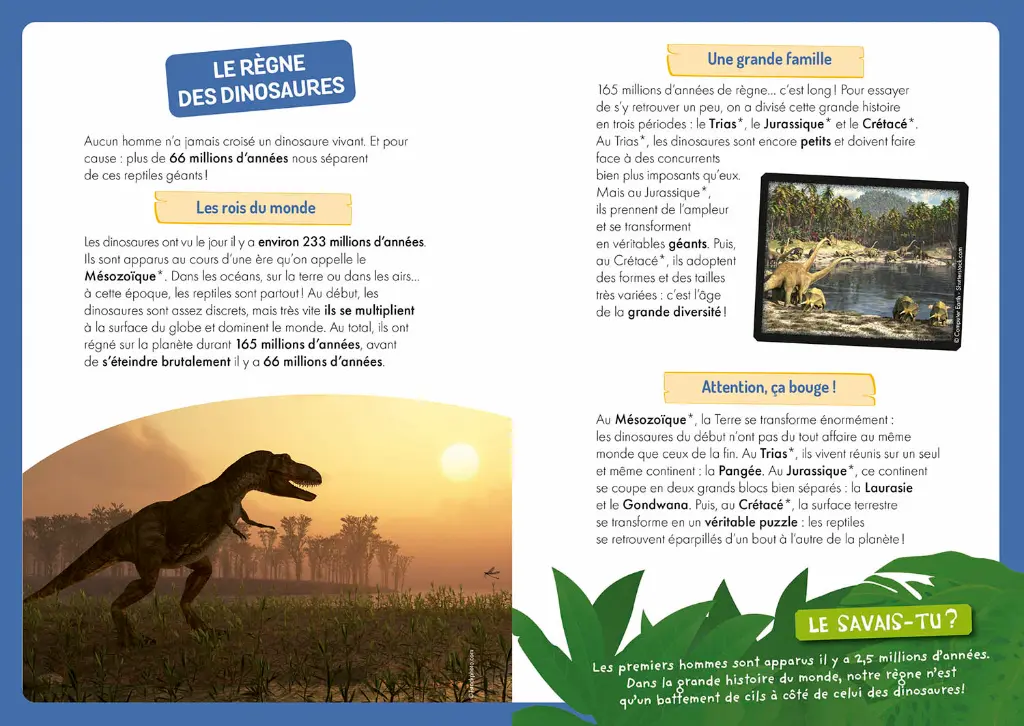 Auzou- A la découverte des dinosaures 2.webp